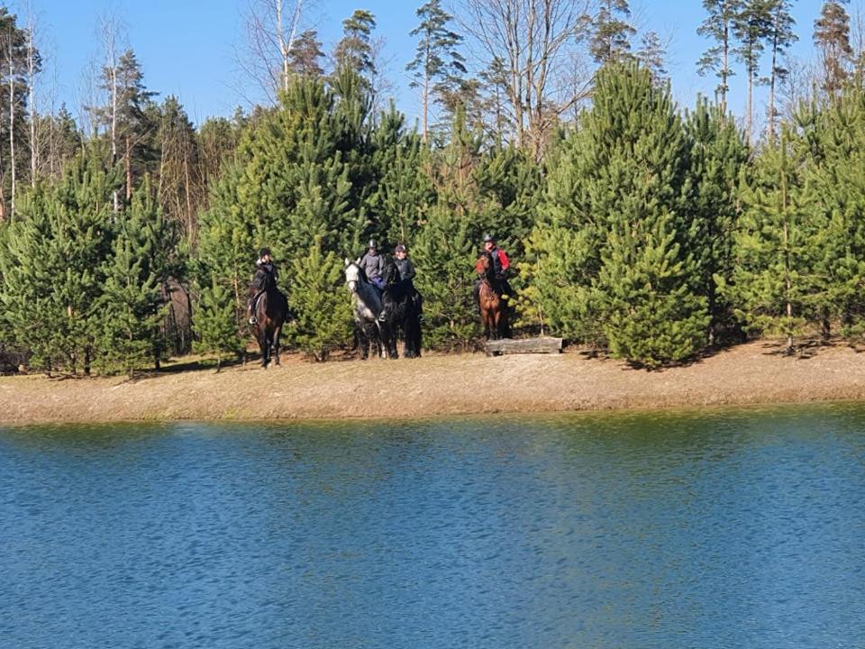 Viesu Maja Forrest Villa Dzimtmisa Exteriör bild